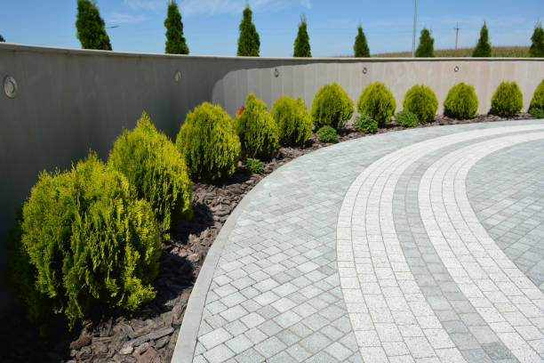 Trusted Albert Lea, MN Driveway Pavers Experts